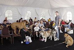 Greatest American Dog (2008)