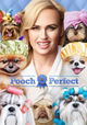 Pooch Perfect