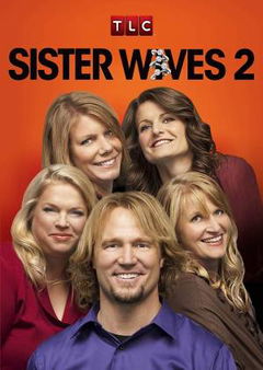 Sister Wives (2010– )