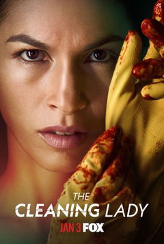 The Cleaning Lady (2022–2025)