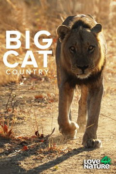 Big Cat Country (2019)