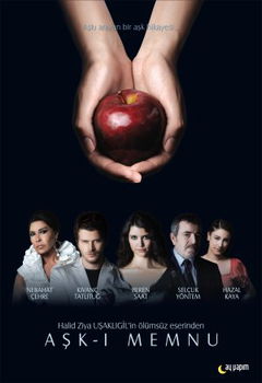 Ask-i Memnu (2008&#8209;2010)