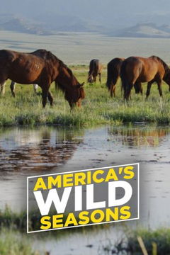 America's Wild Seasons (2019)