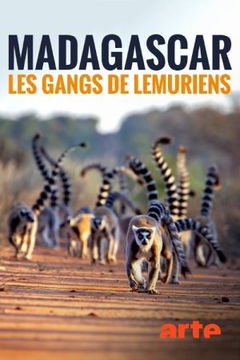Gangs of Lemur Island (2019)