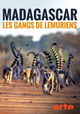Gangs of Lemur Island