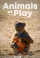 Animals at Play