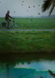 De Indische rekening