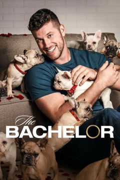 The Bachelor USA (2002‑ )