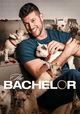 The Bachelor USA
