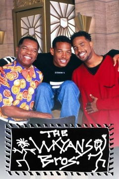 The Wayans Bros. (1995&#8209;1999)