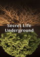 Secret Life Underground