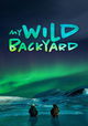 My Wild Backyard