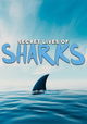 Secret Lives of Sharks