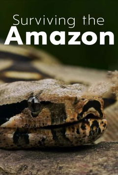Surviving the Amazon (2018‑2019)