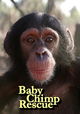 Baby Chimp Rescue