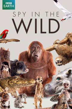 Spy in the Wild (2017&#8209;2020)