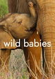 Wild Babies
