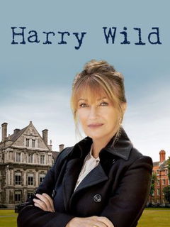 Harry Wild (2022–&nbsp;)