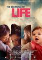 The Beginning of Life: The Series