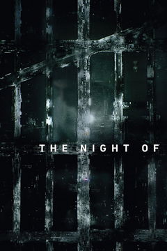 The Night Of (2016)