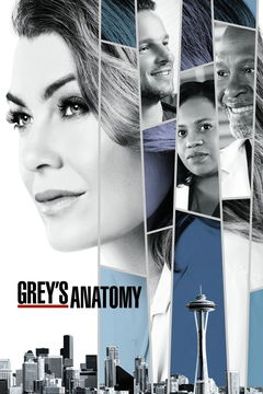 Grey's Anatomy (2005&#8209;&nbsp;)