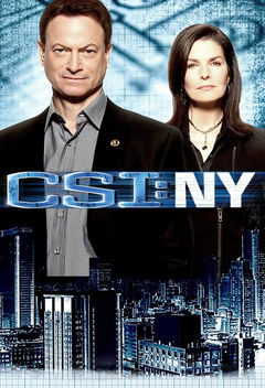 CSI: NY (2004&#8209;2013)