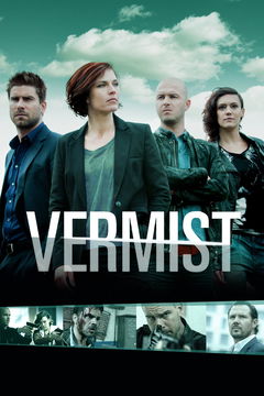 Vermist (2008&#8209;2016)