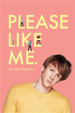 Please Like Me (2013–2016)