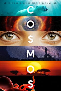 Cosmos: A Spacetime Odyssey (2014&#8209;2020)