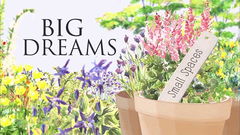 Big Dreams Small Spaces (2014&#8209;2017)