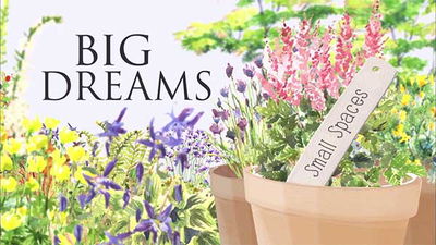 Big Dreams Small Spaces