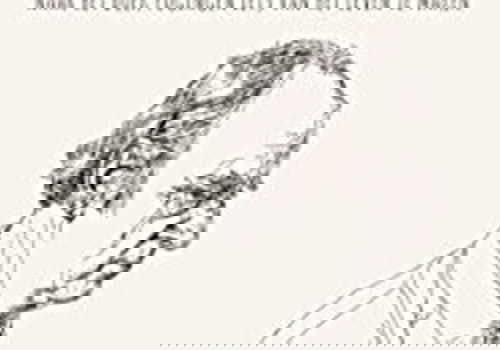 Beste Dramaseries 2017 op NPO Start &amp; Plus (maart 2026)