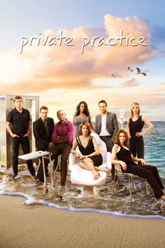 Private Practice (2007&#8209;2013)