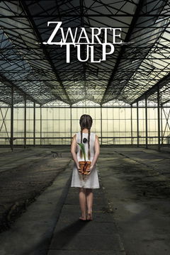 Zwarte Tulp (2015&#8209;2016)