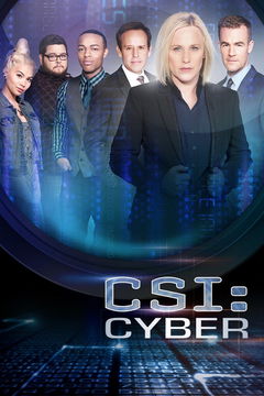 CSI: Cyber (2015&#8209;2016)