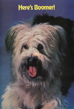 Here's Boomer (1980&#8209;1982)