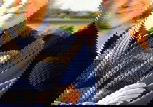 Top 100 Beste Series 1996