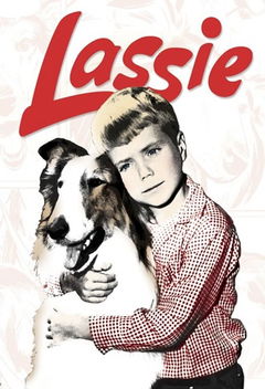 Lassie (1954&#8209;1973)