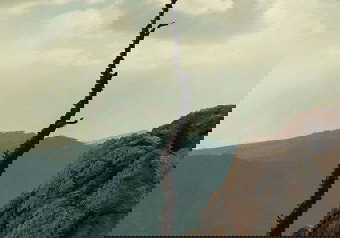 Beste Mysteryseries 2021 op Disney+ (maart 2026)