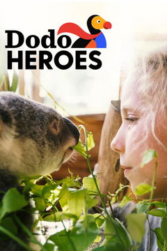 Dodo Heroes (2018&#8209;&nbsp;)