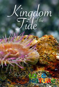 New Kids in the Wild (2020)