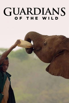 Guardians of the Wild (2016&#8209;2018)