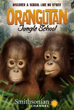 Orangutan Jungle School (2018&#8209;&nbsp;)