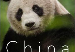 Beste Documentaireseries 2021 op NPO Start &amp; Plus (oktober 2026)