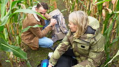 De Invasie van BelgiĂ« (2022‑ )