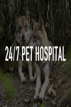 24/7 Pet Hospital (2023‑ )