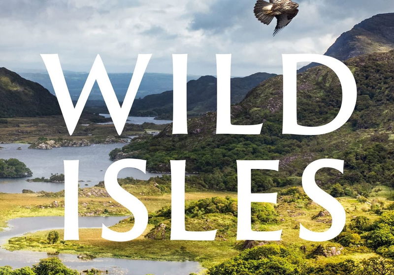 Top 100 Beste Series 2023 op Amazon Prime Video (oktober 2025) Top 100 Beste Series 2023 op Amazon Prime Video (oktober 2025)