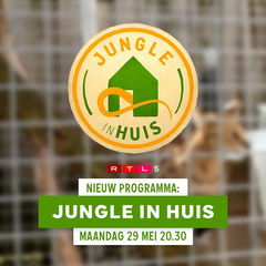 Jungle In Huis (2023‑ )