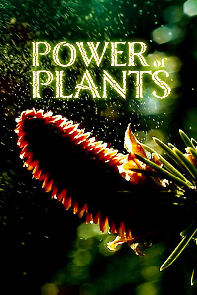 Power of Plants