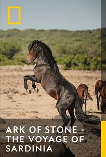 Ark of Stone - The Voyage of Sardinia